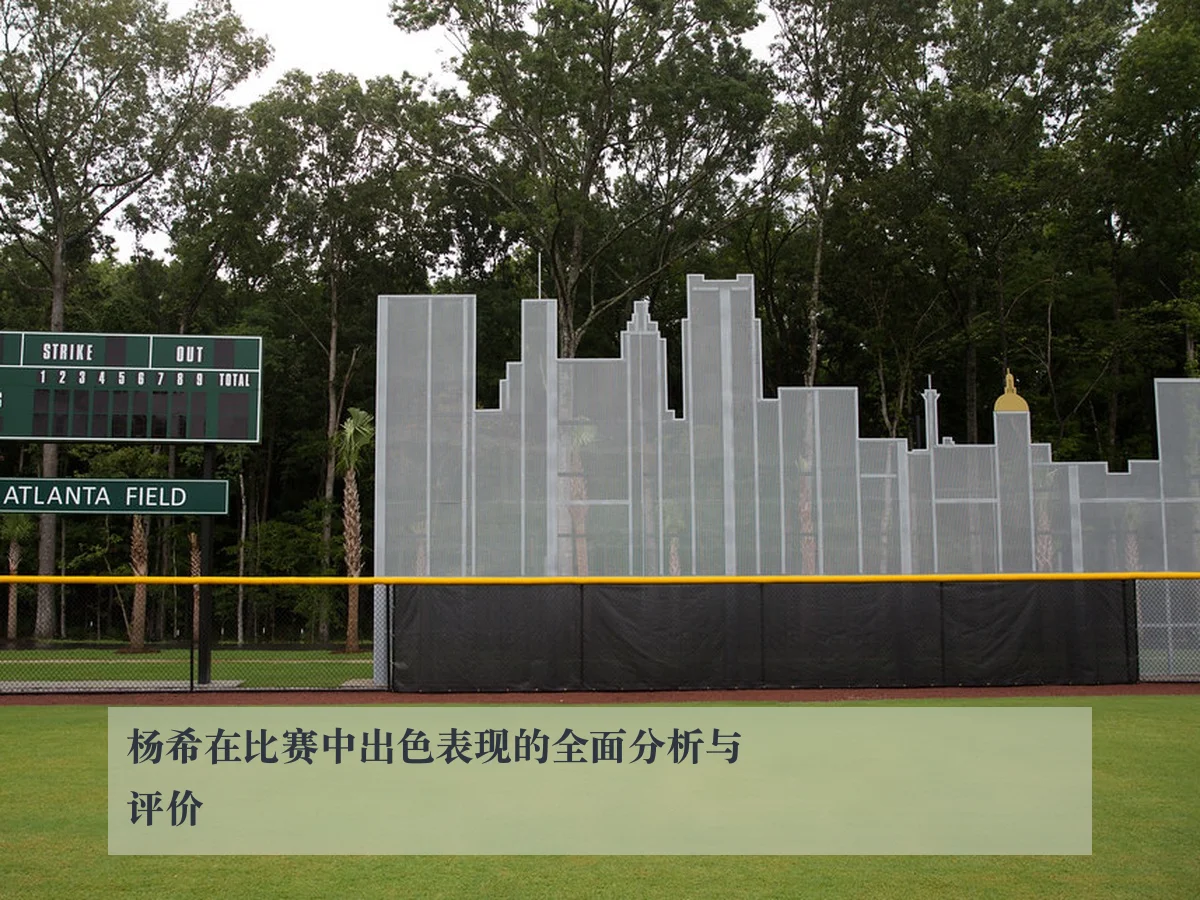 杨希在比赛中出色表现的全面分析与评价